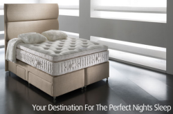 sleep ambassadors