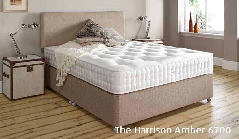 Harrison Amber